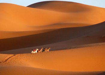 Desert Day Trip from Ouarzazate