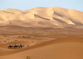 Marrakech to Erg Chagaga Desert Tour 3 days